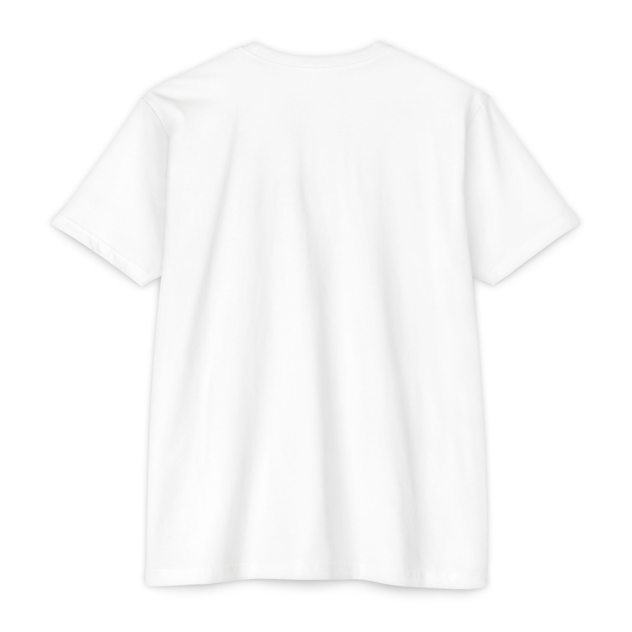 Unisex CVC Jersey T-Shirt | House of Shaka